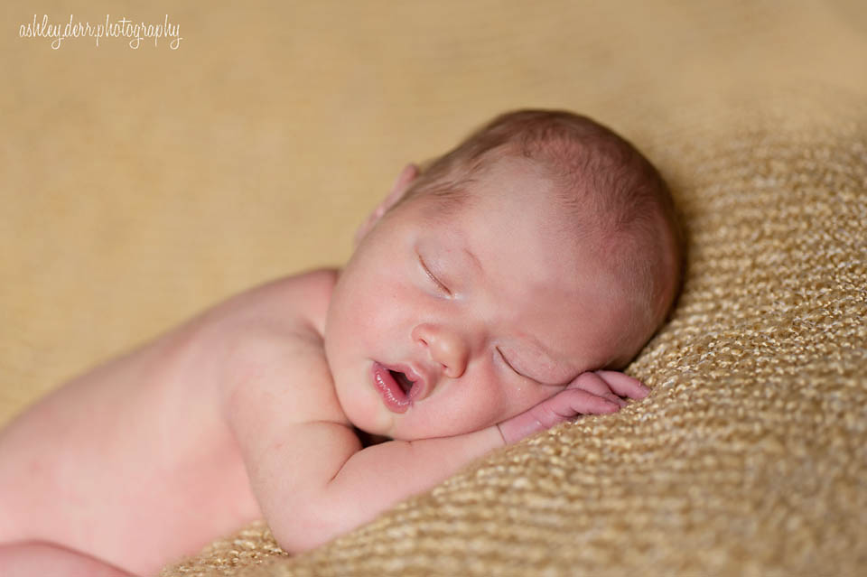 pittsburgh north hills photographer