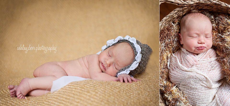 pittsburgh north hills photographer