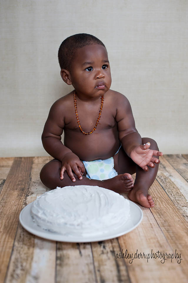 Pittsburgh Children's Photography pittsburgh first birthday