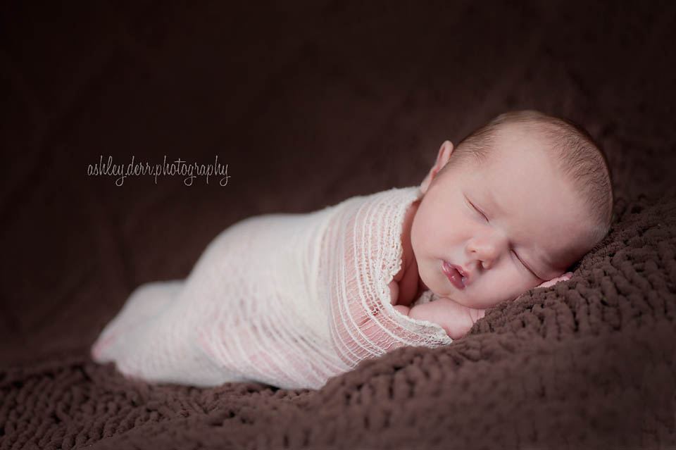 newborn pictures in pittsburgh