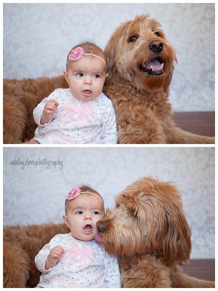 pittsburgh six month portraits