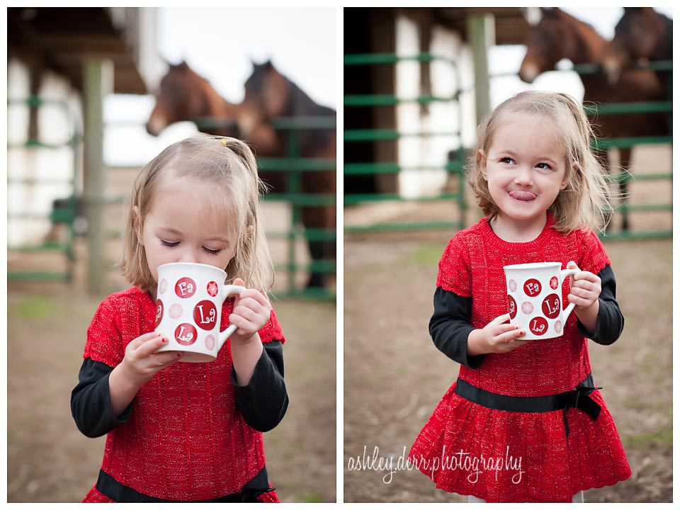 pittsburgh children christmas photographer