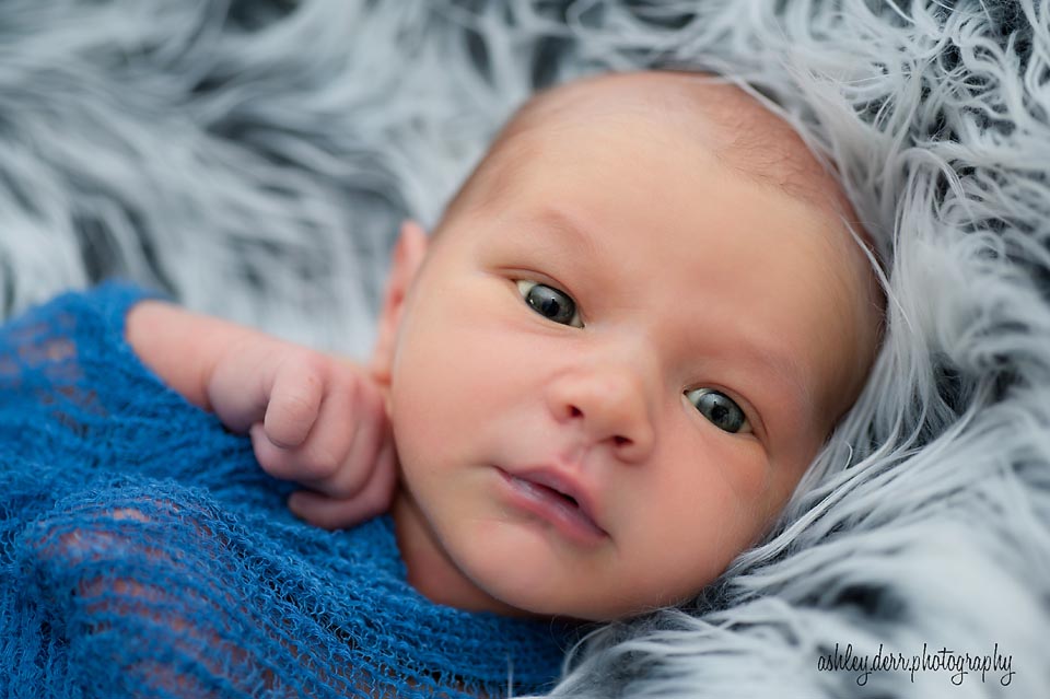 pittsburgh newborn photographer