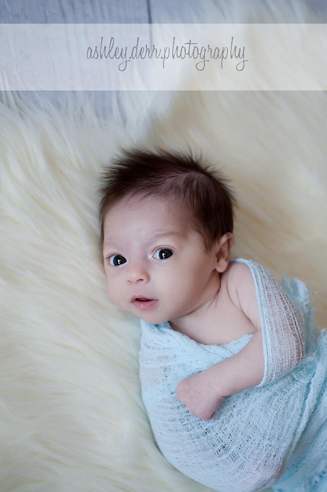 best newborn photography pittsburgh