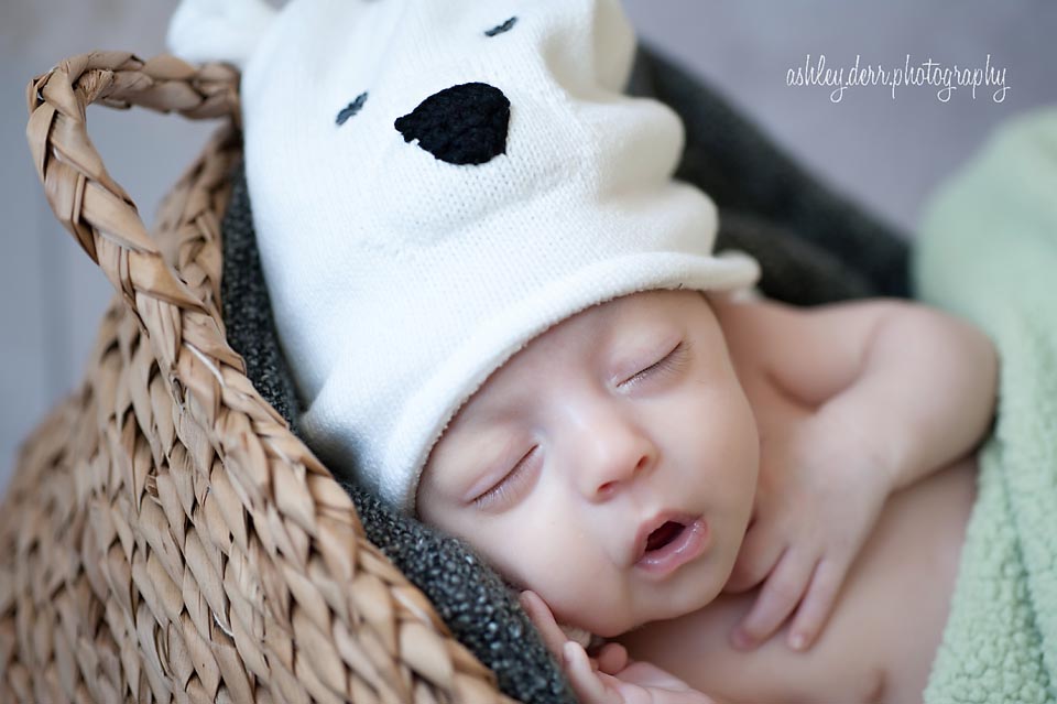 best newborn photography pittsburgh