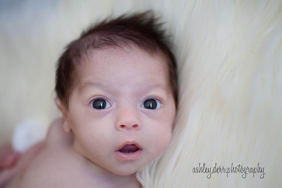 best newborn photography pittsburgh