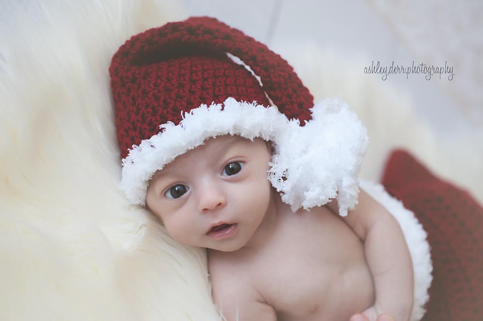 best newborn photography pittsburgh