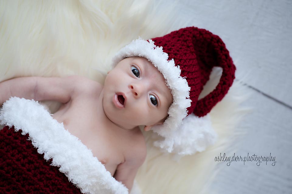 best newborn photography pittsburgh