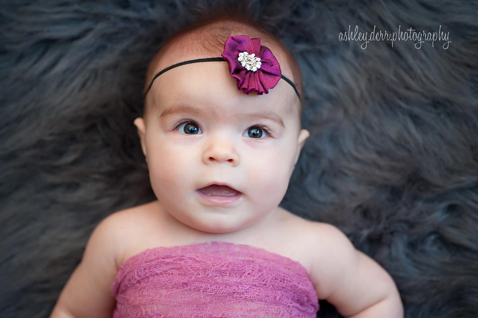 pittsburgh six month portraits