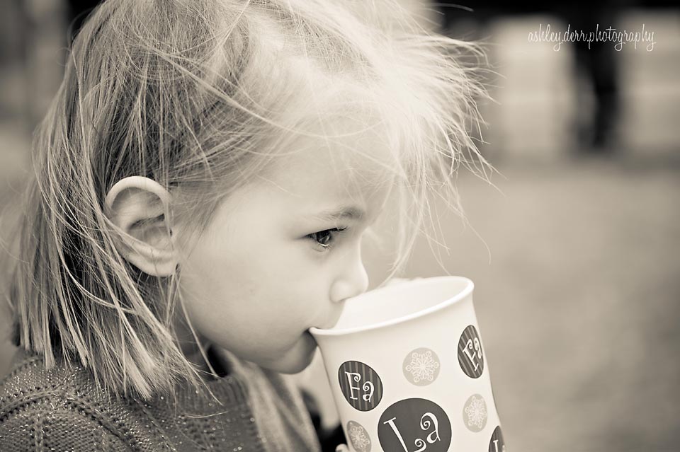 pittsburgh children christmas photographer