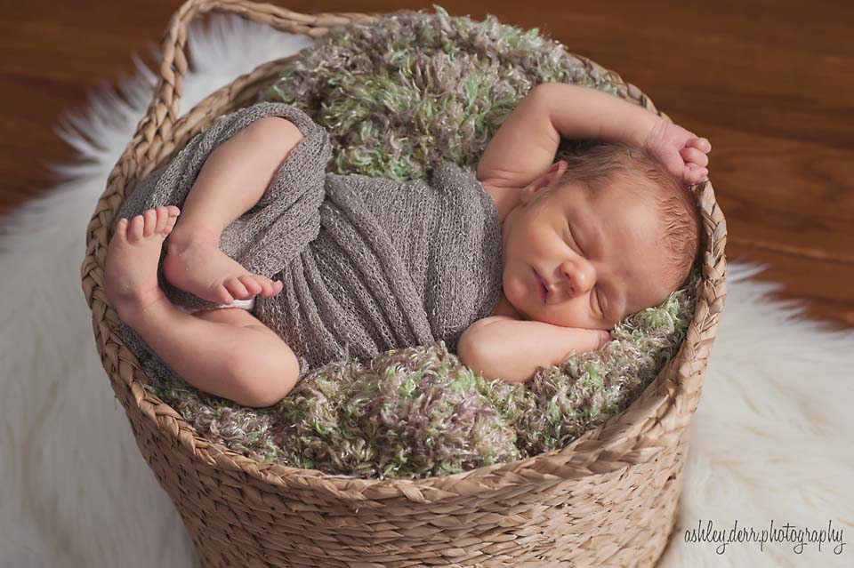 Newborn Photographer Pittsburgh