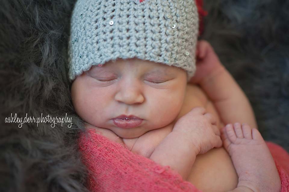 pittsburgh newborn photography