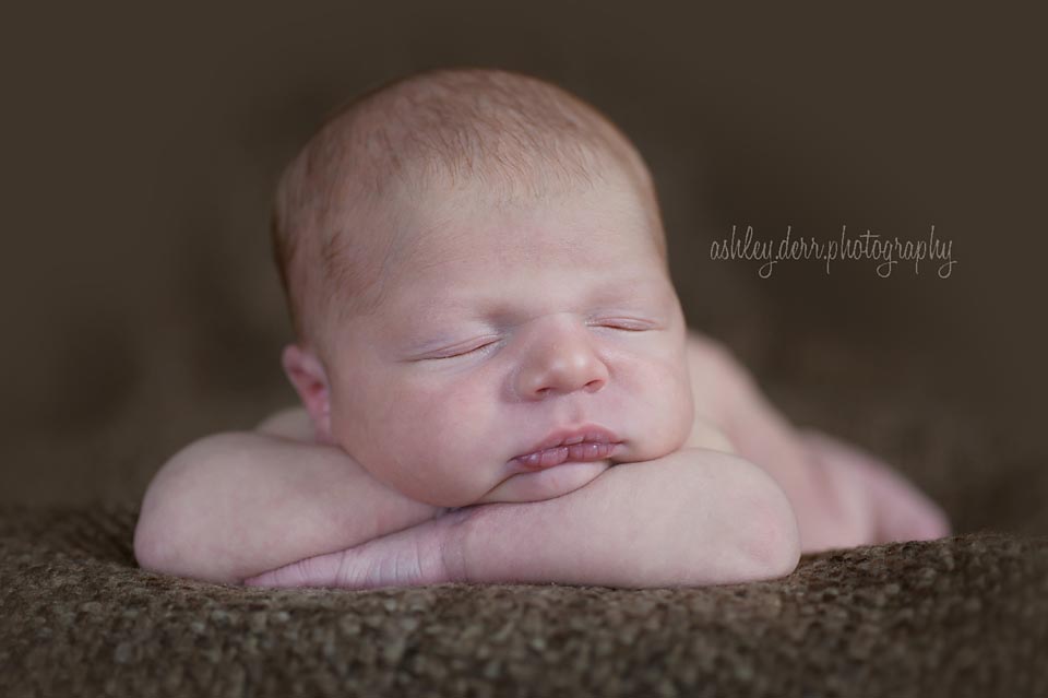 Newborn Photographer Pittsburgh