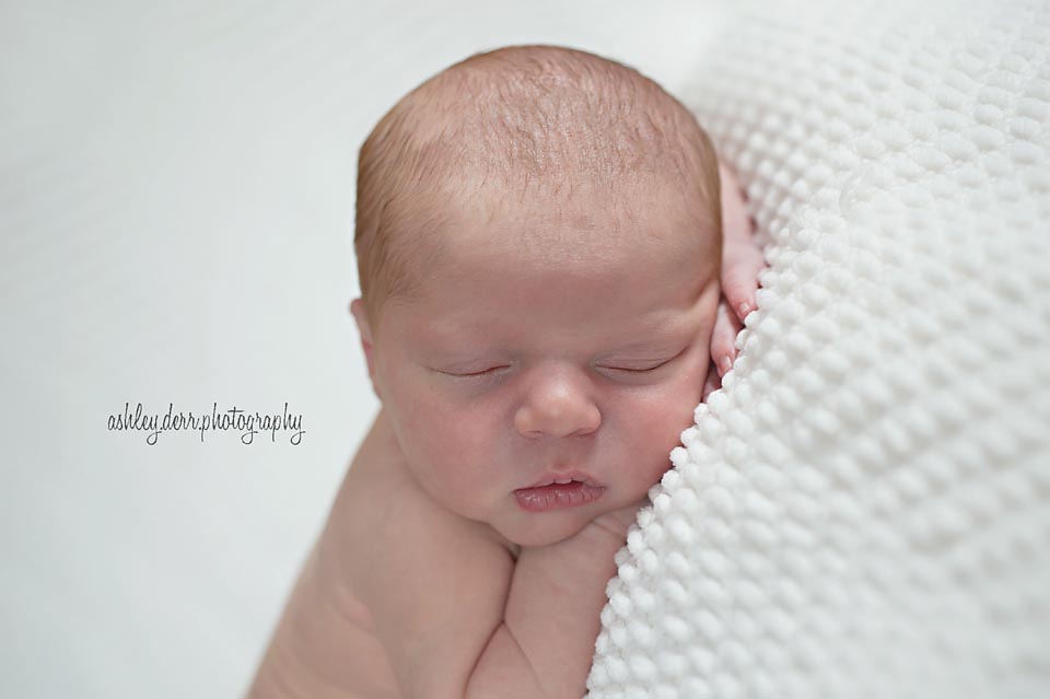 Newborn Photographer Pittsburgh