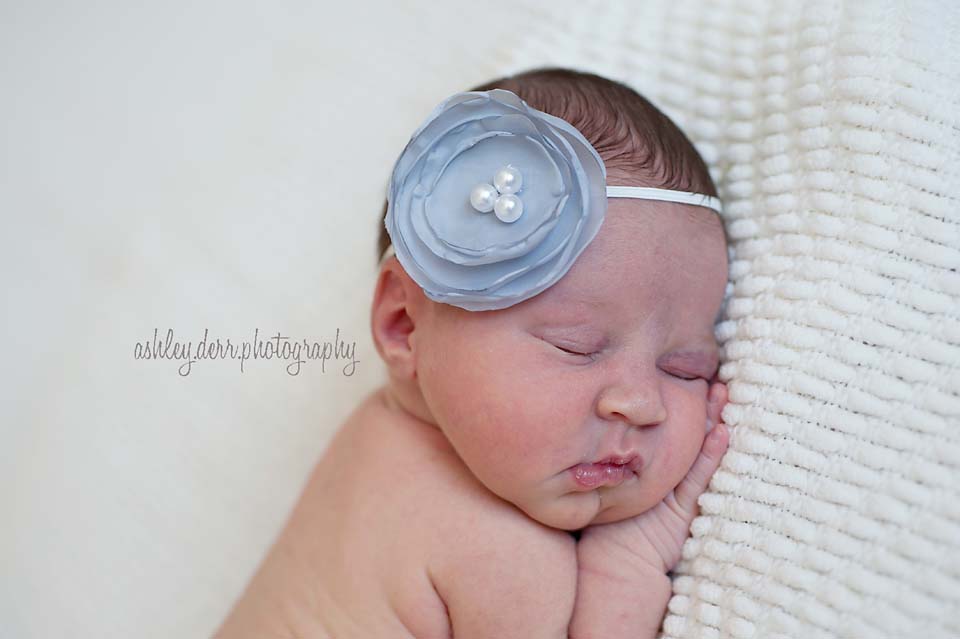 newborn portrait photography in north hills