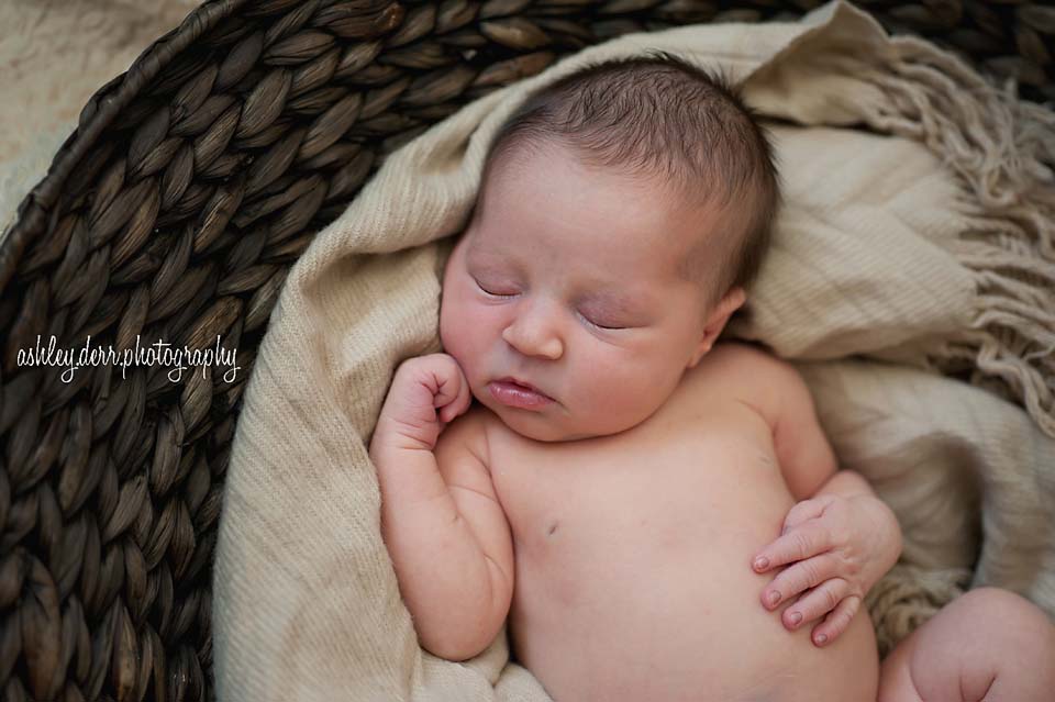 north hills baby photographer