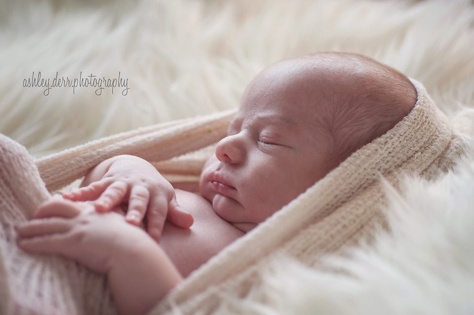 baby photography in pittsburgh