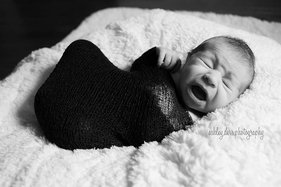 baby photographer in wexford