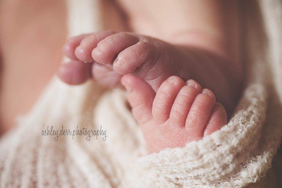 Newborn photographer in wexford