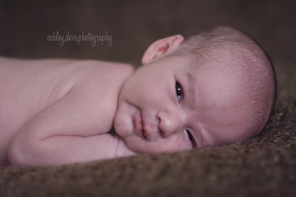baby photography in pittsburgh