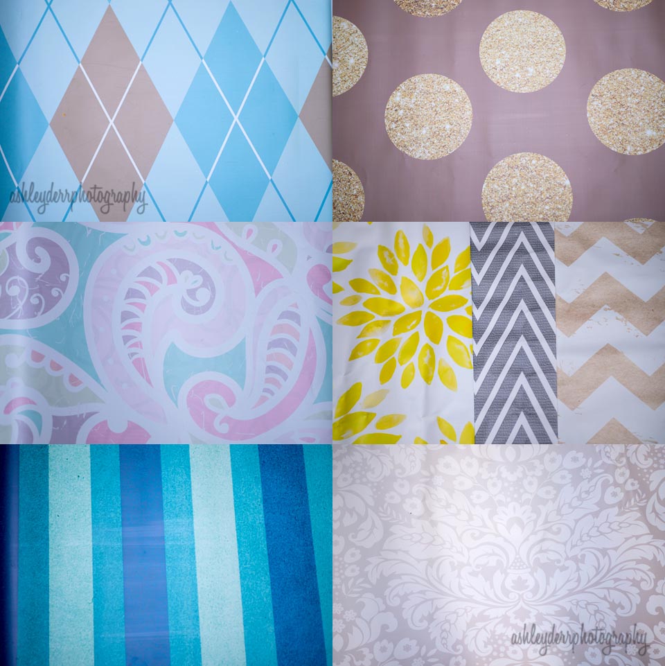 spring mini session pittsburgh