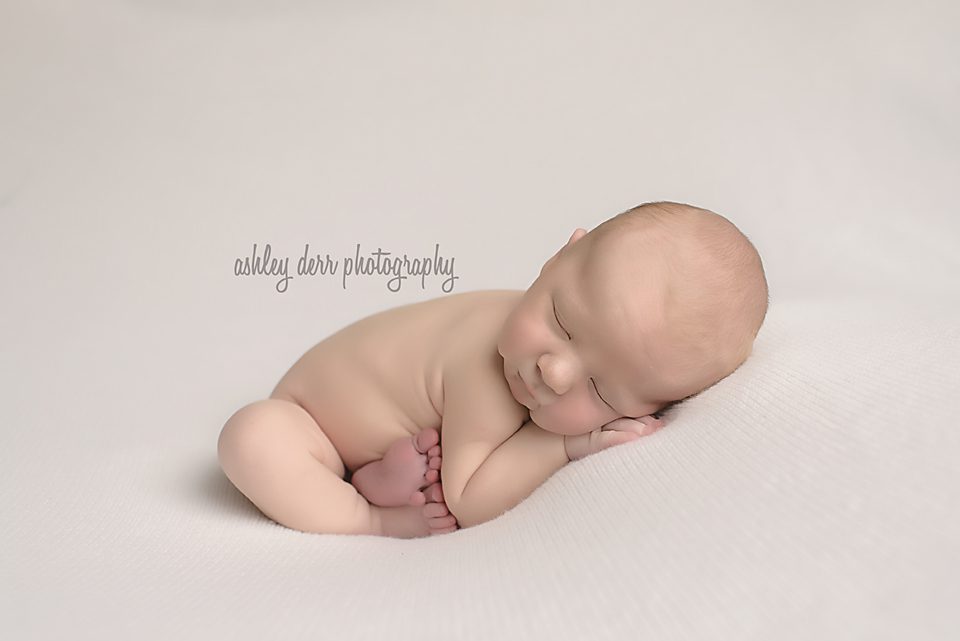 newborn photographer pittsburgh