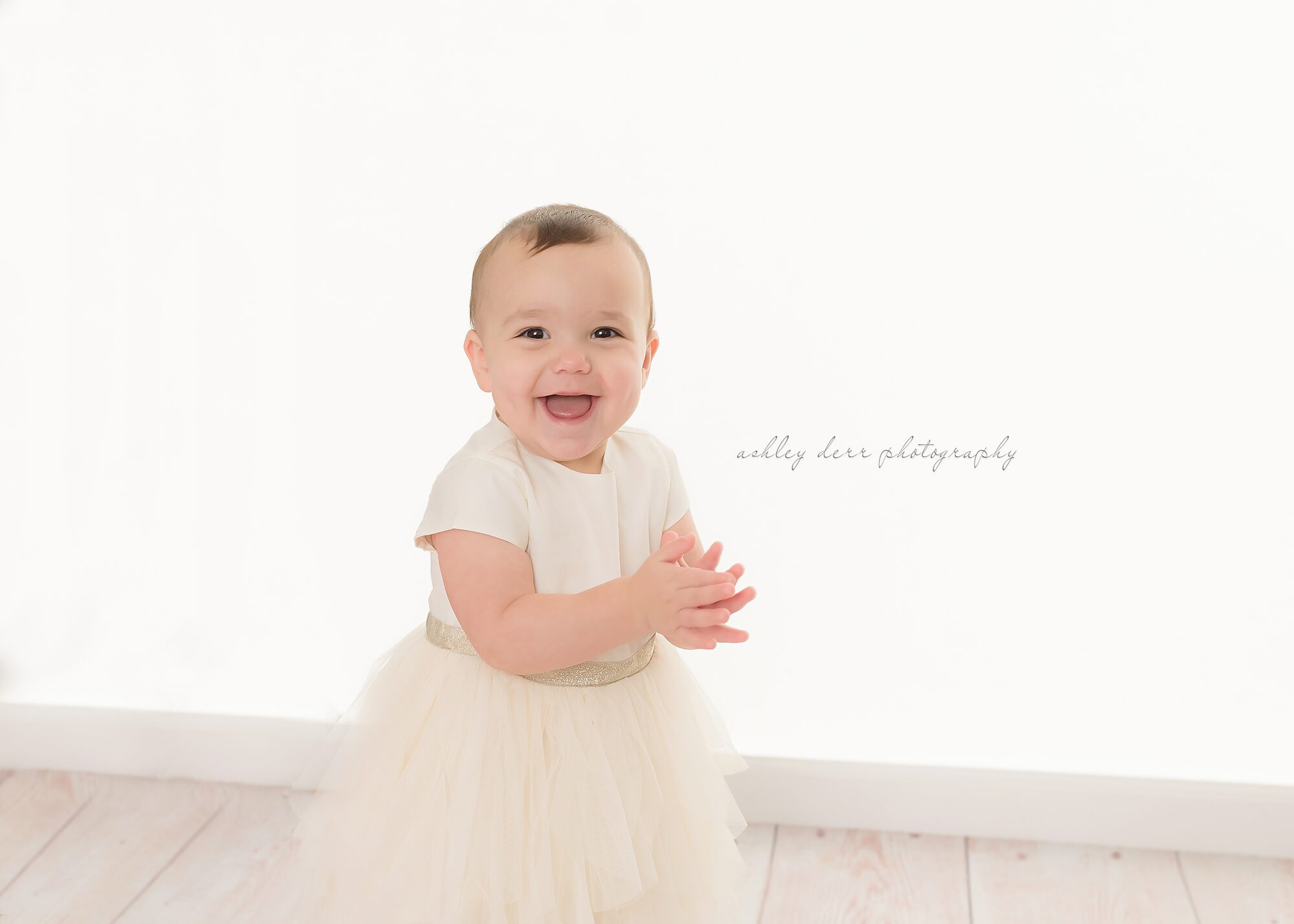 birthday photographer 15241