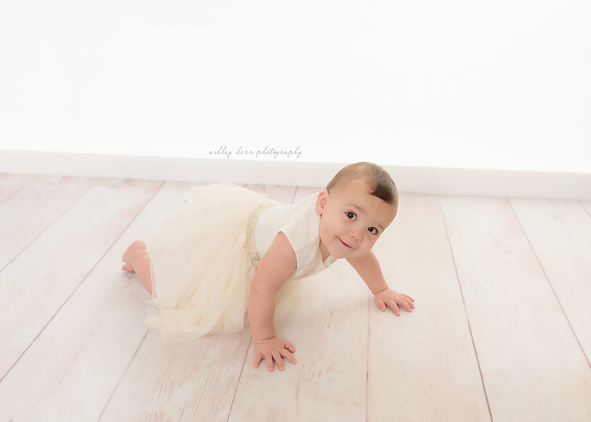 birthday photographer 15241