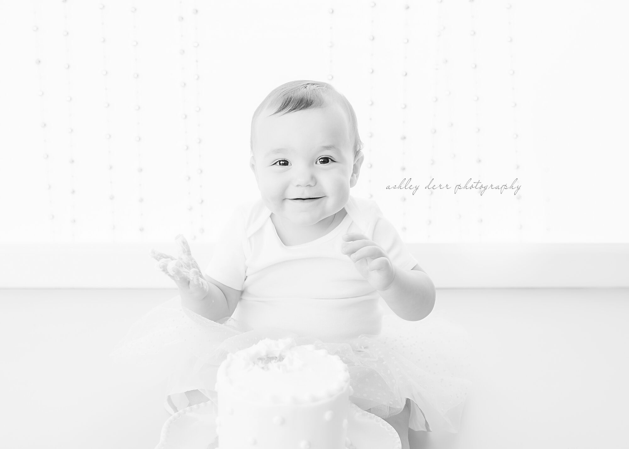 birthday photographer 15241