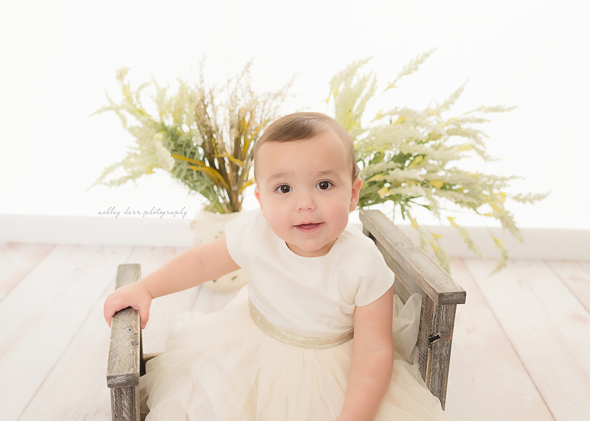 birthday photographer 15241