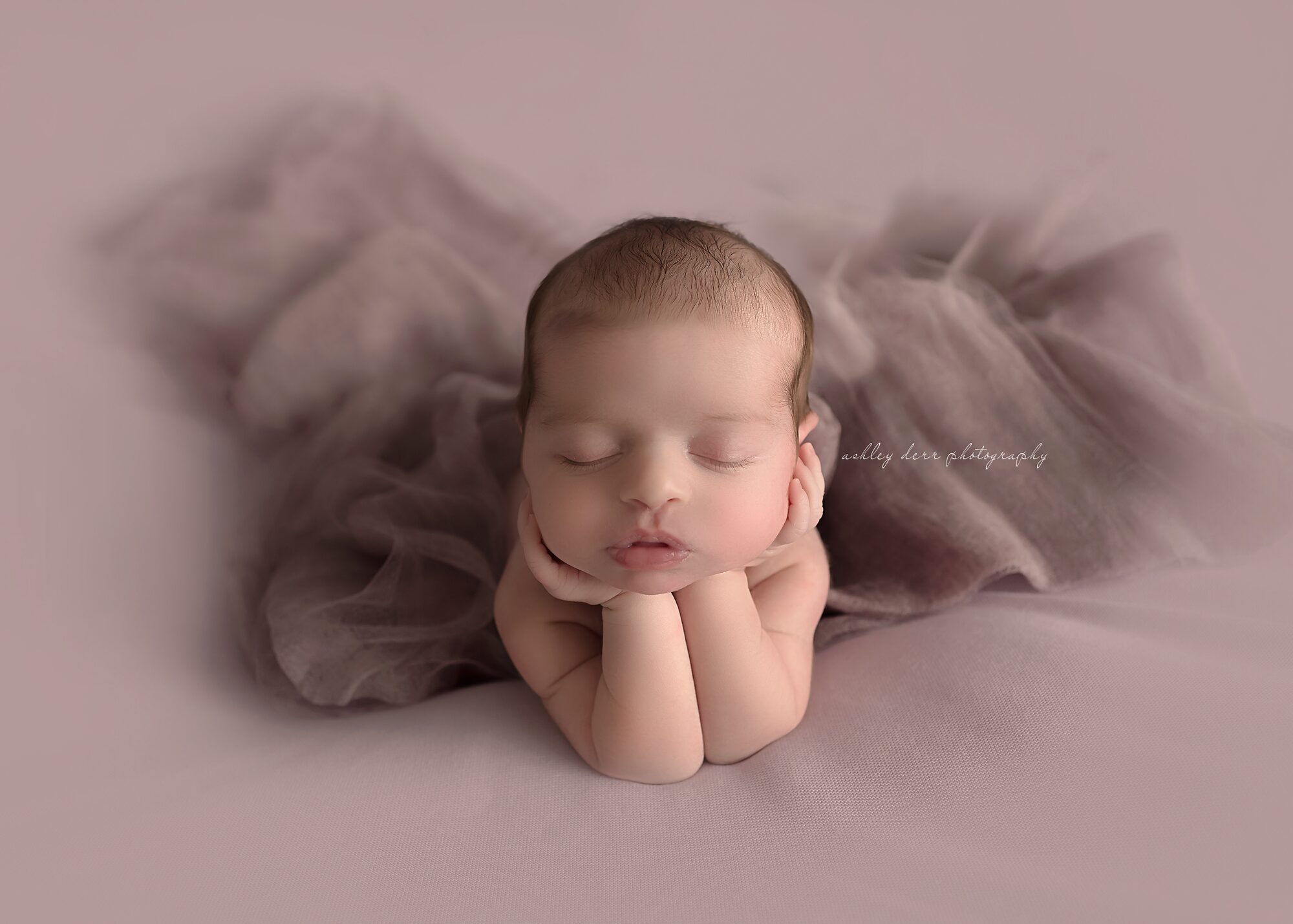 baby photographer in pittsburgh