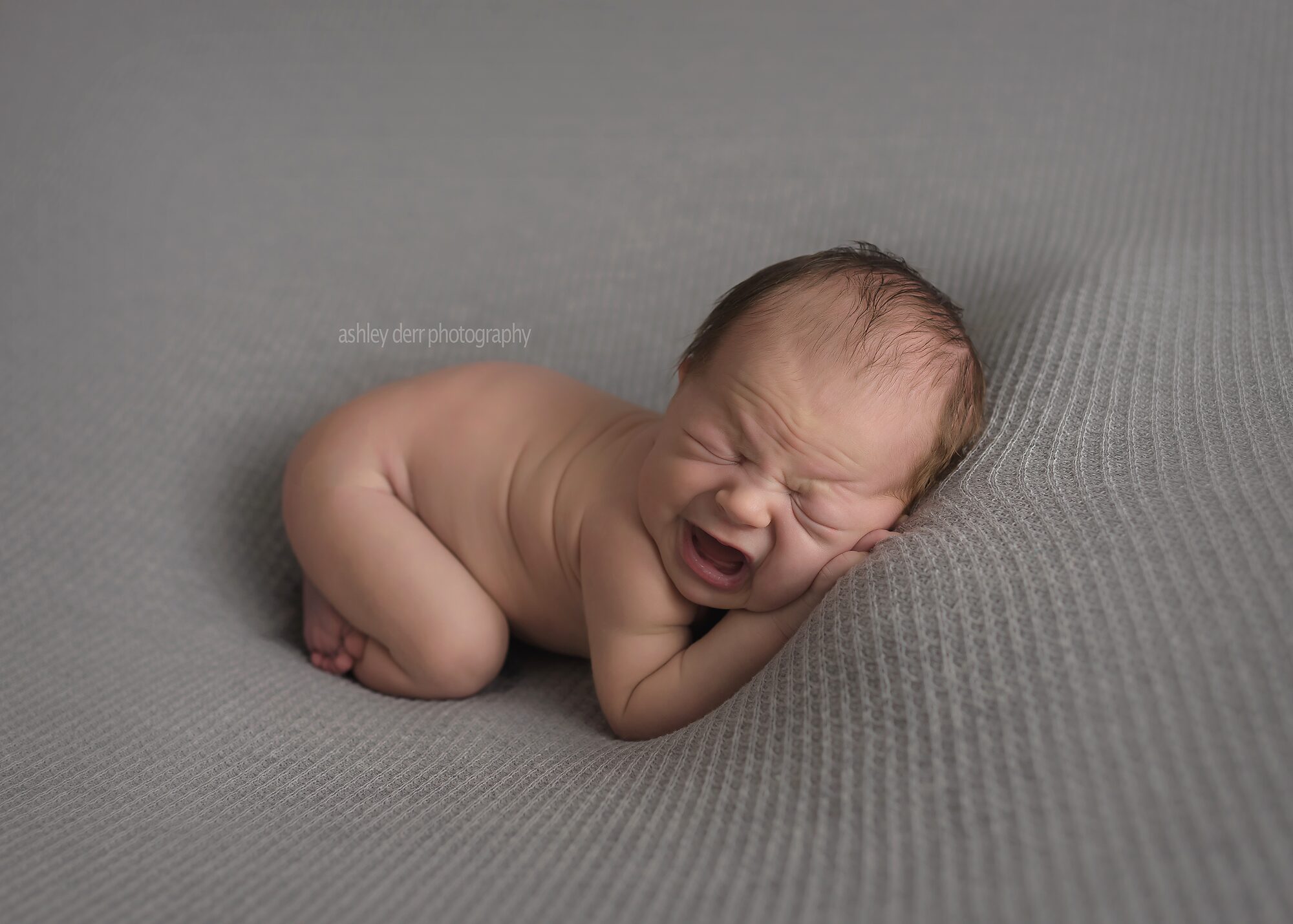 baby photographers Pittsburgh pa