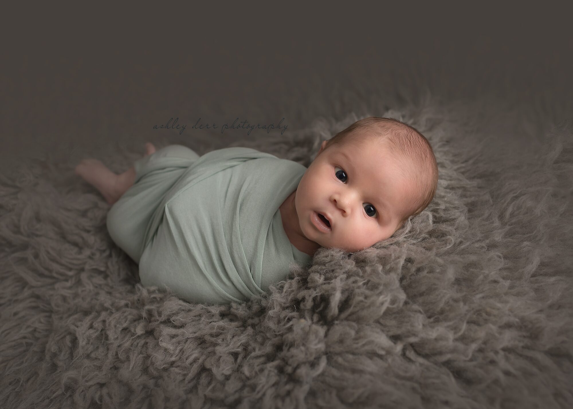 Oakmont pa newborn photographer 