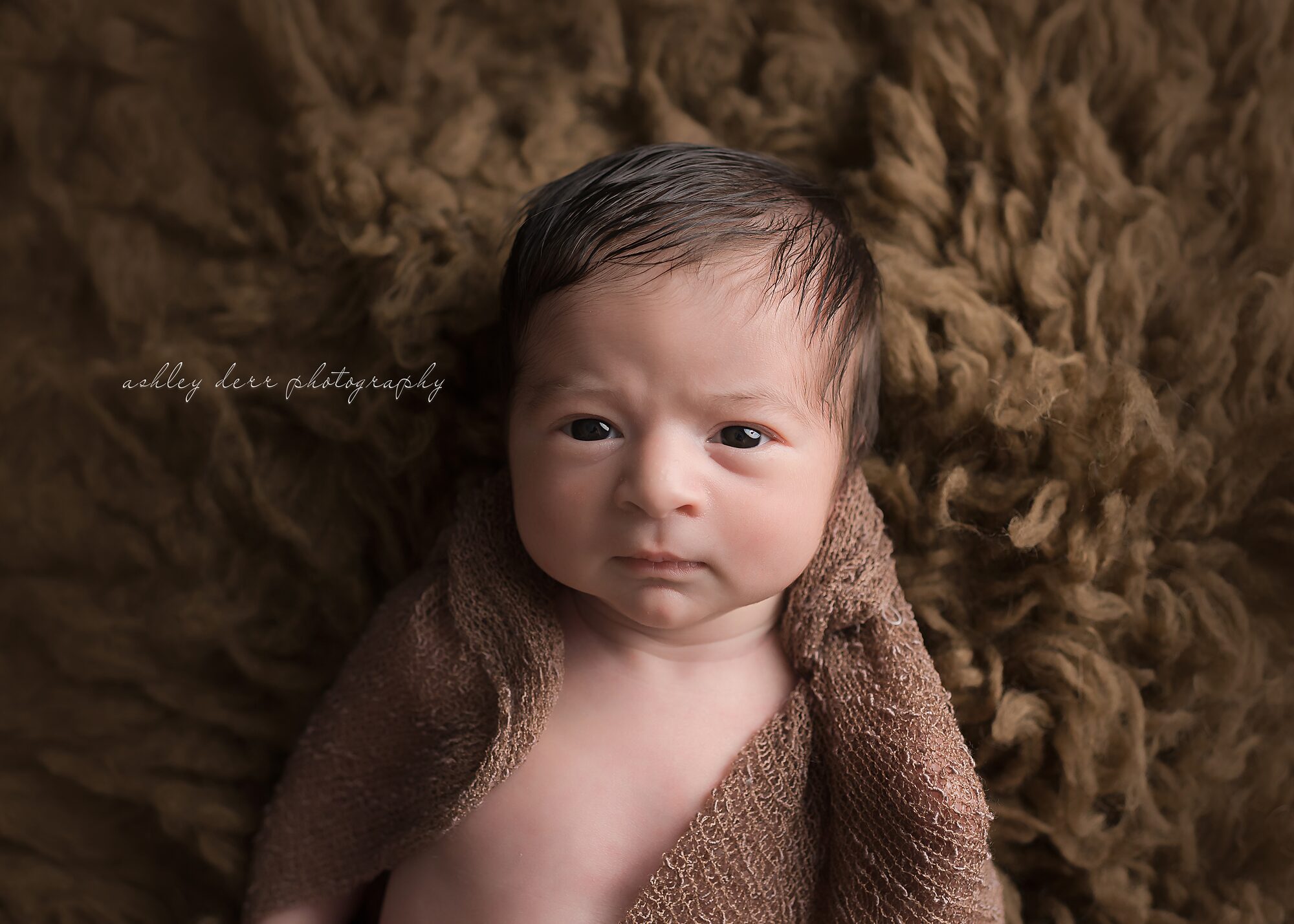 trafford pa 15085 newborn photographer