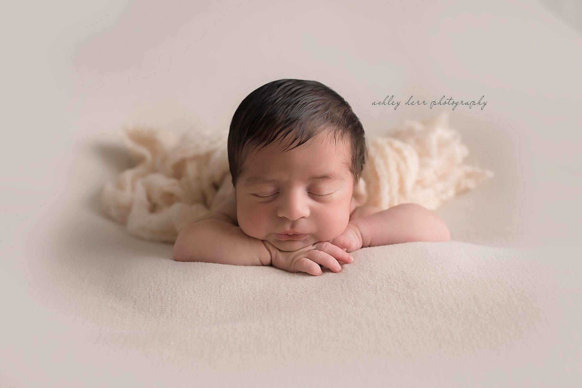 trafford pa 15085 newborn photographer