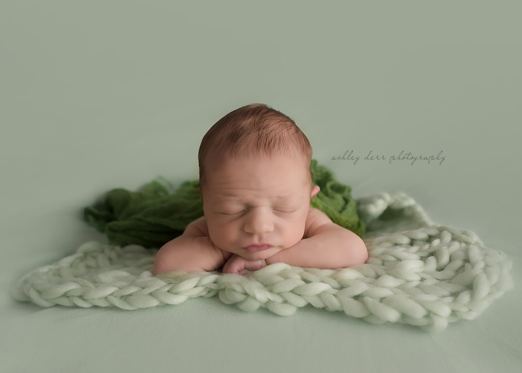 newborn portrait photographer pittsburgh 15232