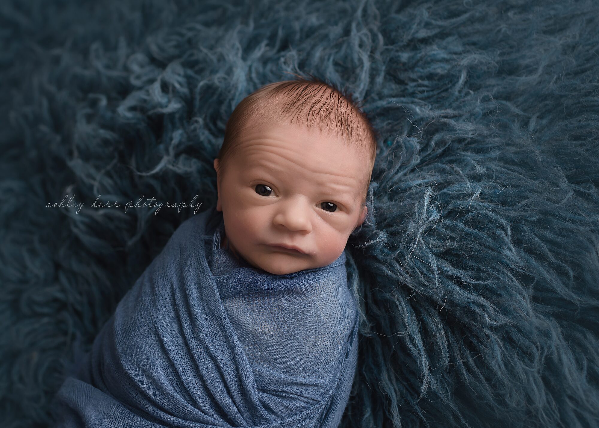 newborn portrait photographer pittsburgh 15232