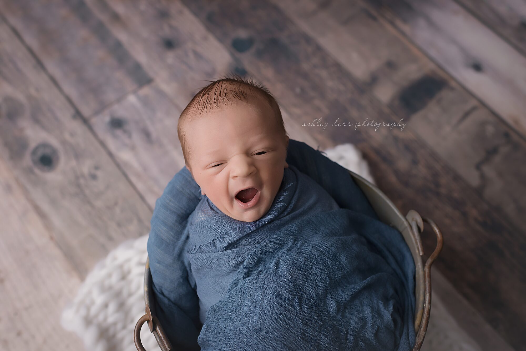 newborn portrait photographer pittsburgh 15232