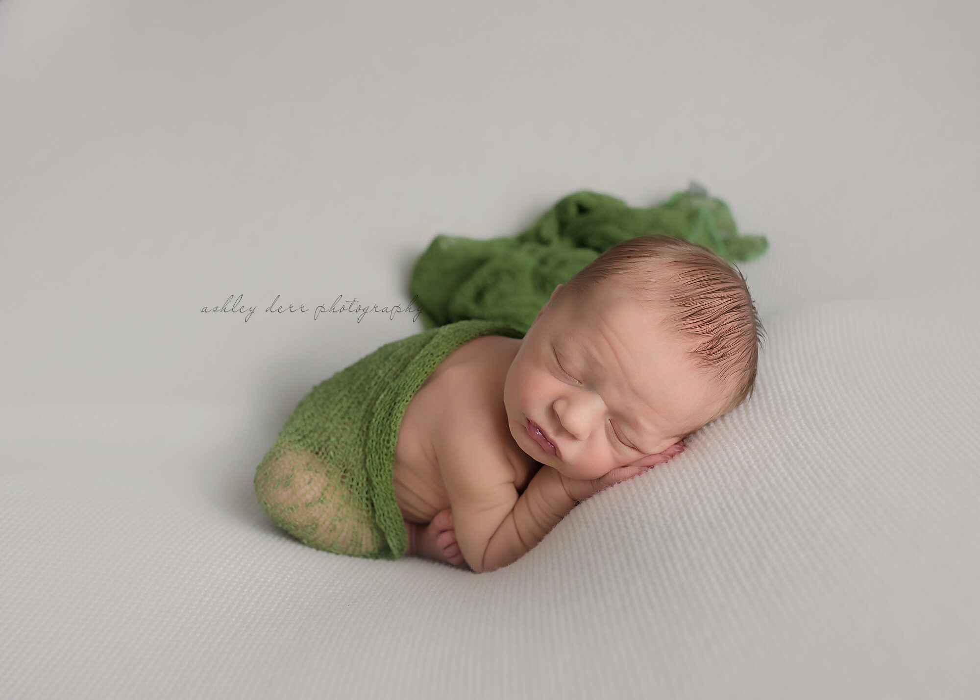 newborn portrait photographer pittsburgh 15232