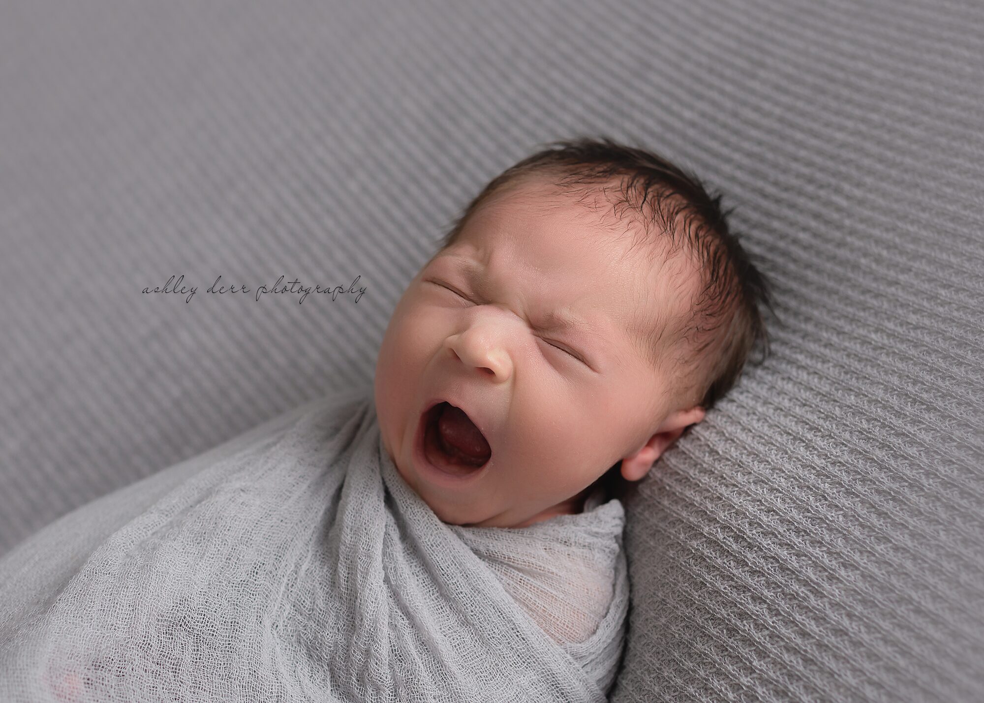 newborn baby photographer gibsonia 15044