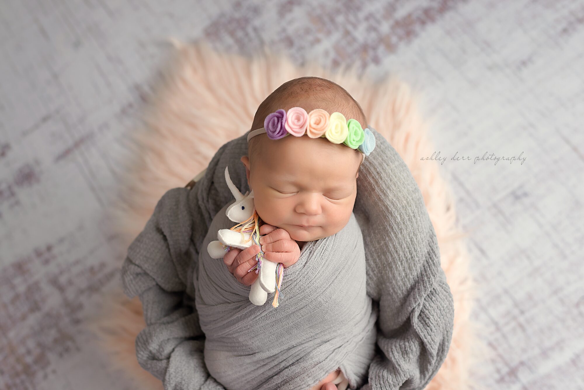 wexford pa newborn photographer