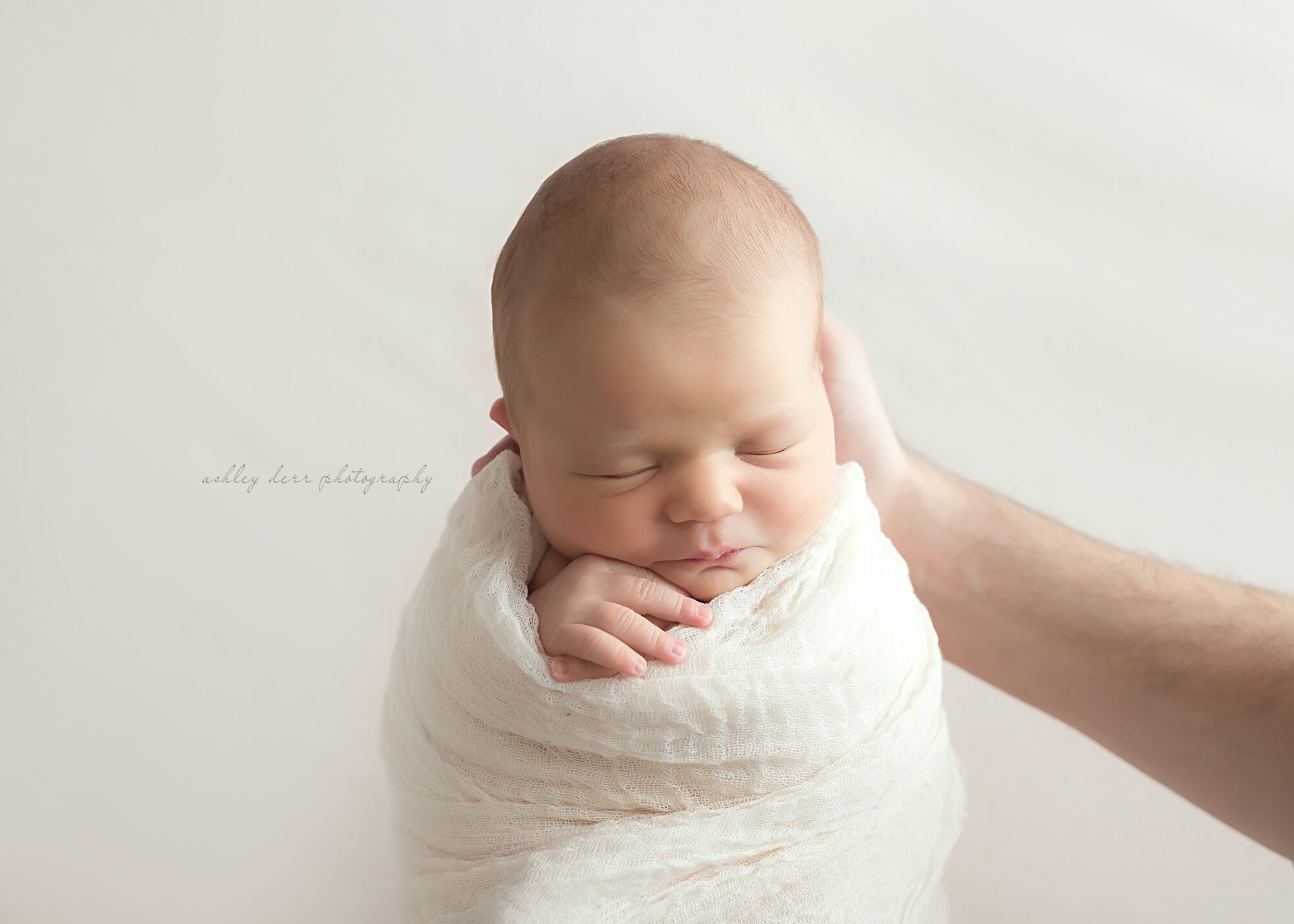 wexford pa newborn photographer