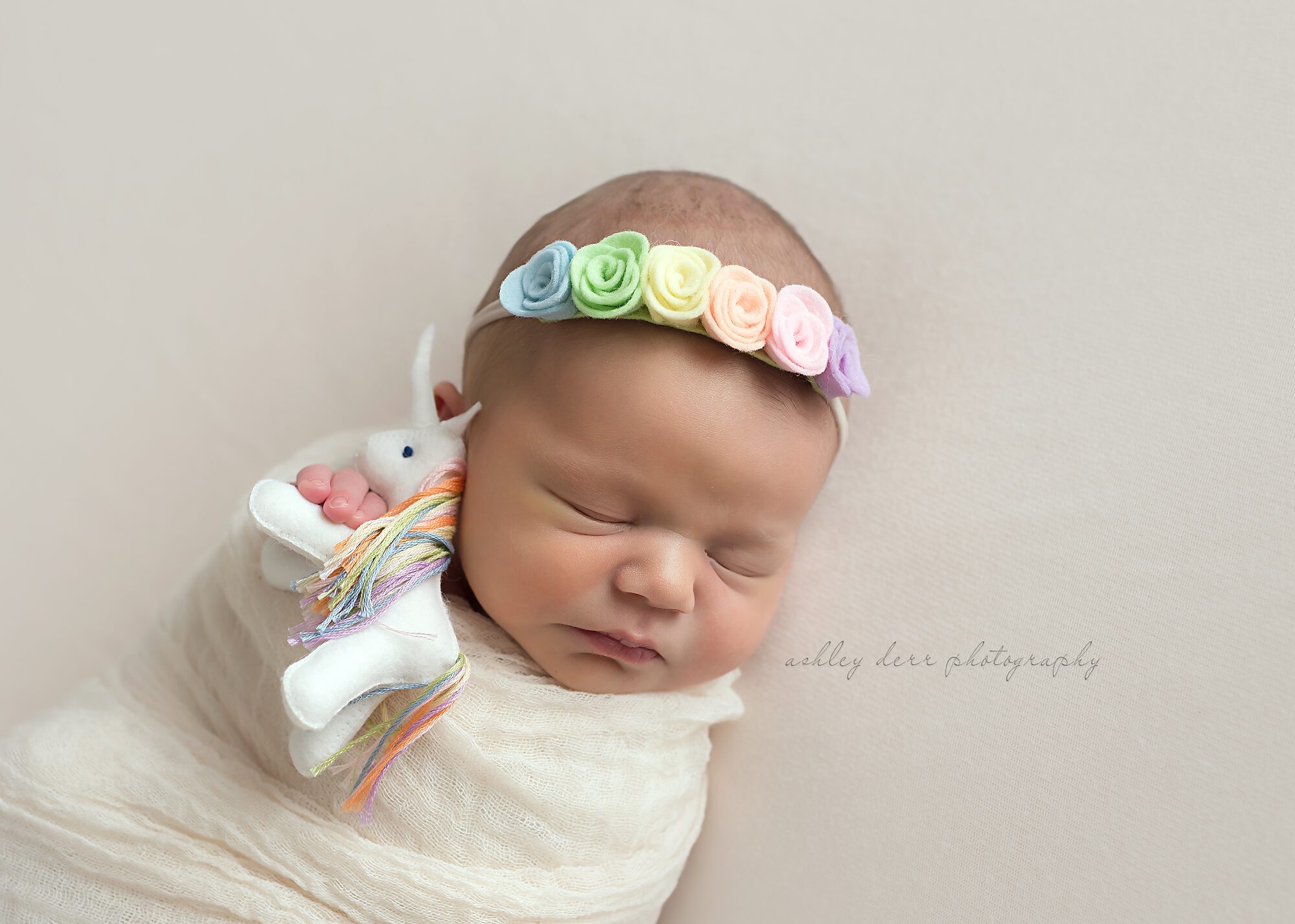 wexford pa newborn photographer