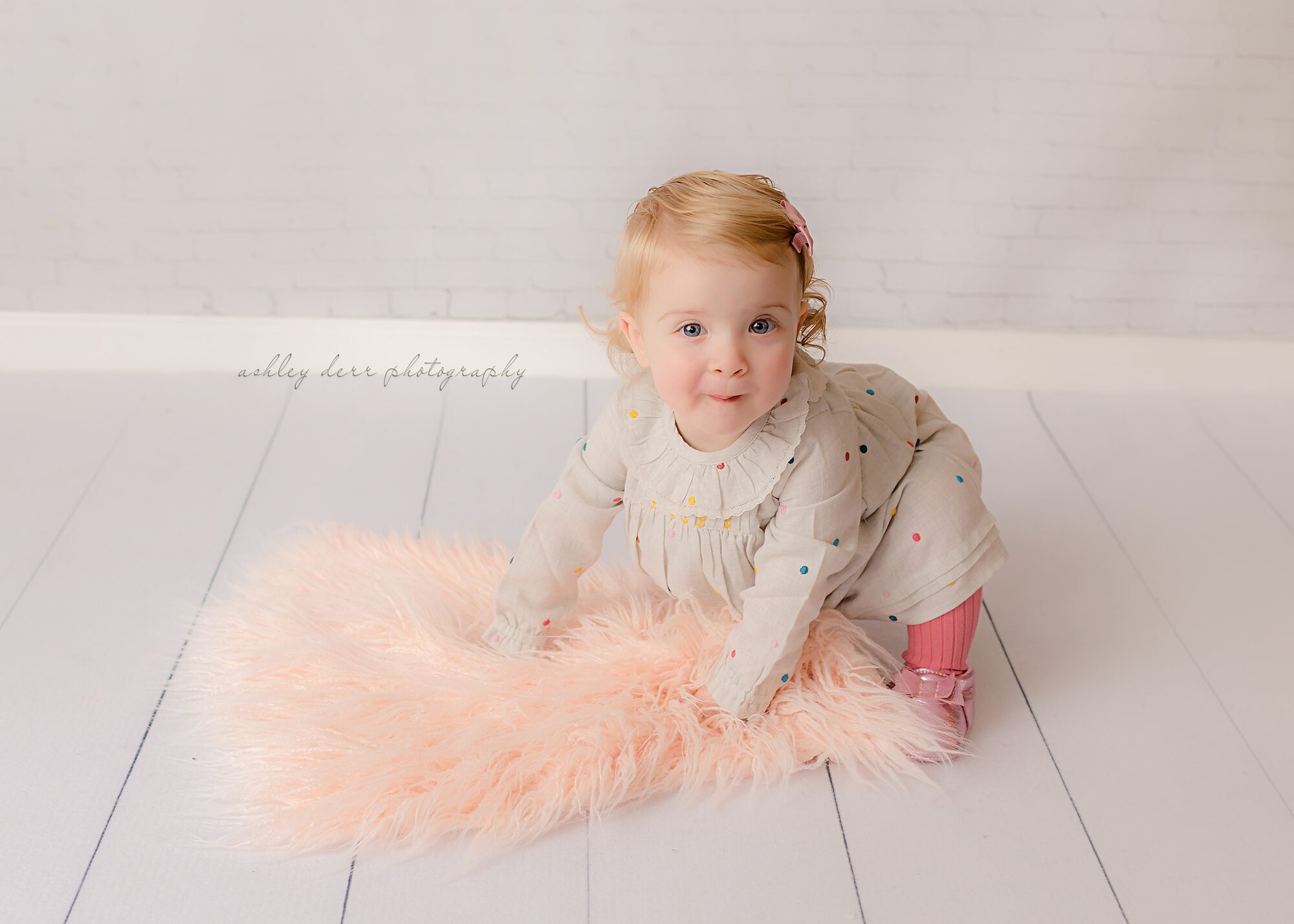 first birthday photography session Pittsburgh