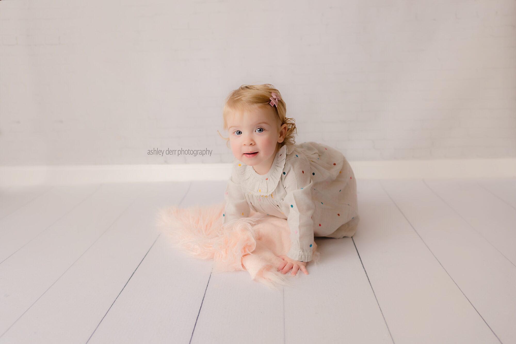 first birthday photography session Pittsburgh