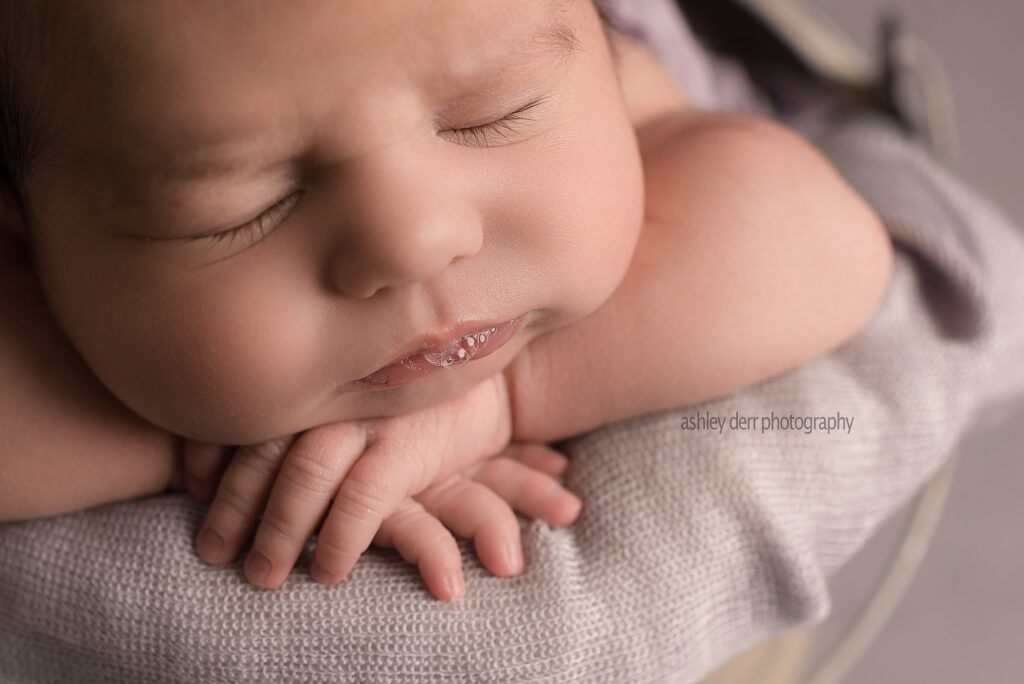 newborn photographer pittsburgh