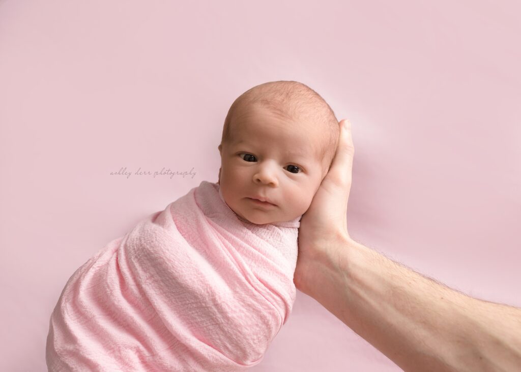 wexford pa 15090 newborn photographer