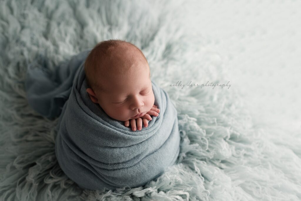 highland park newborn photographer