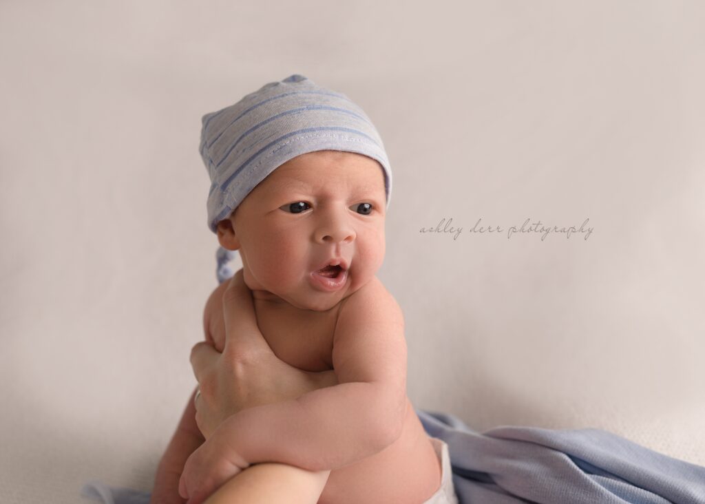 highland park newborn photographer