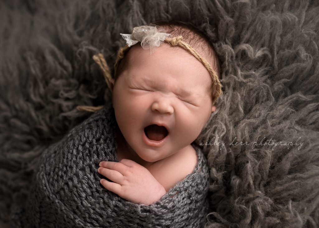 pittsburgh newborn photographer near 15221